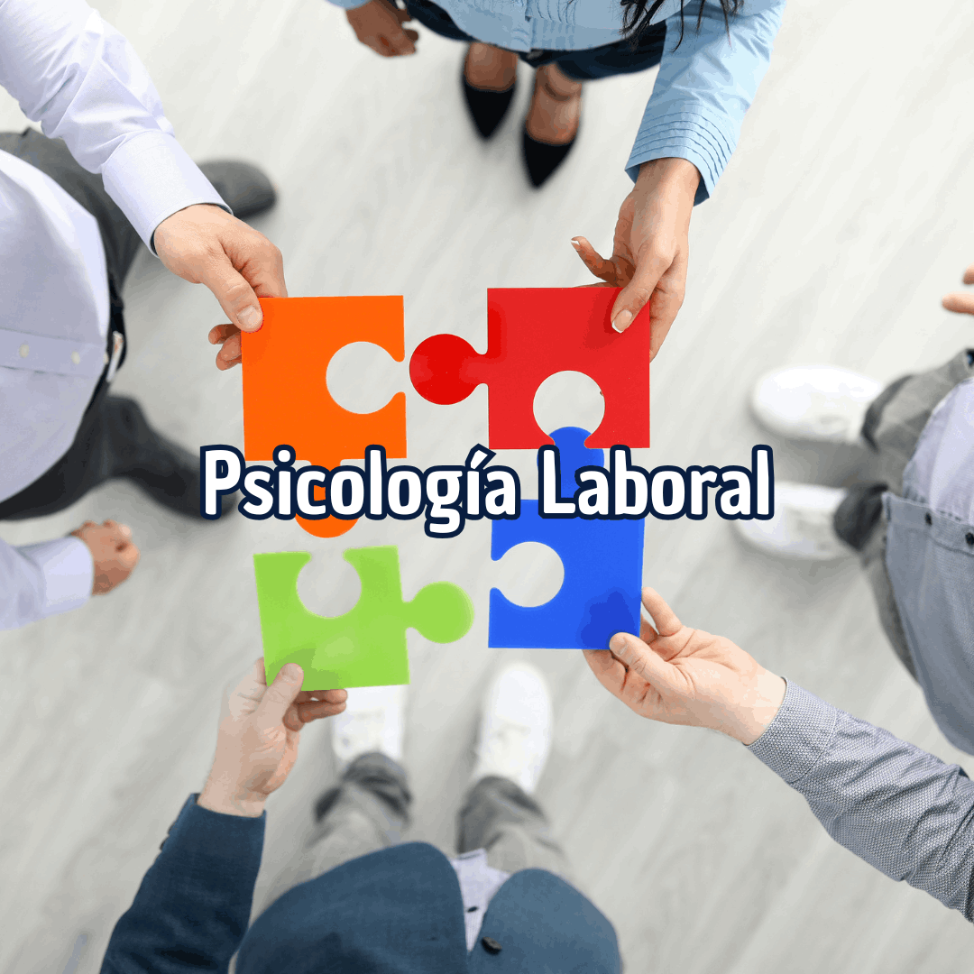 Psicología Laboral SepsiPablo